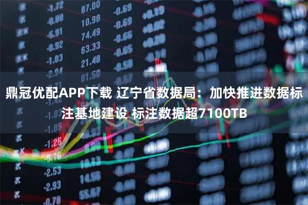 鼎冠优配APP下载 辽宁省数据局：加快推进数据标注基地建设 标注数据超7100TB