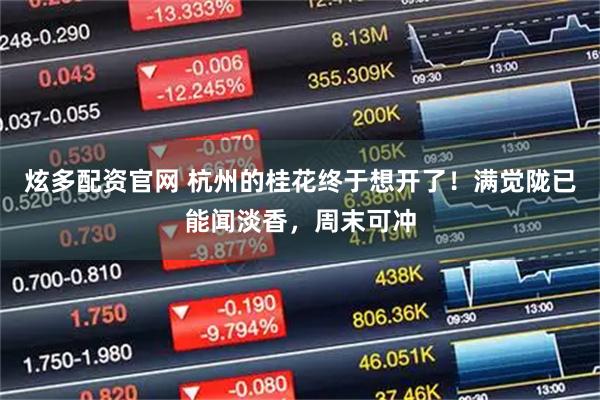 炫多配资官网 杭州的桂花终于想开了！满觉陇已能闻淡香，周末可冲