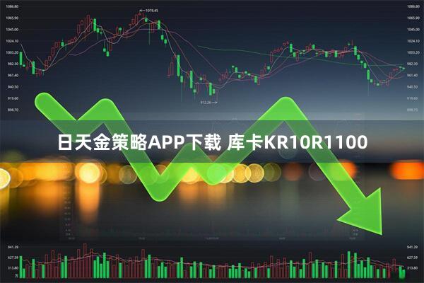日天金策略APP下载 库卡KR10R1100