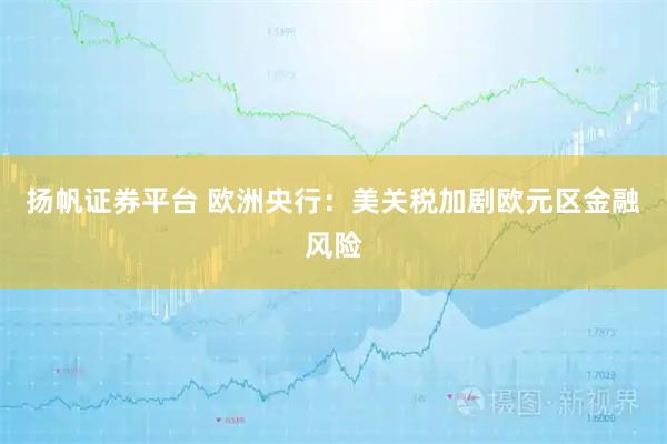扬帆证券平台 欧洲央行：美关税加剧欧元区金融风险